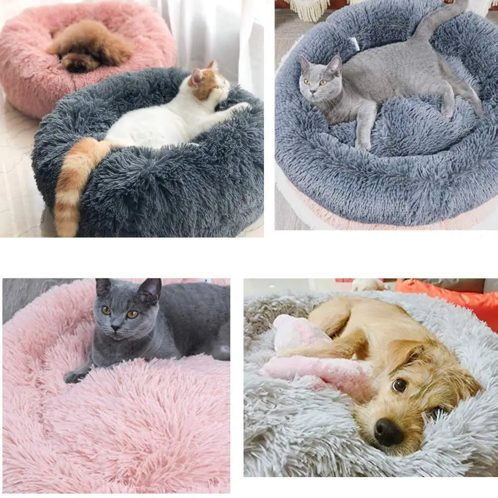 Cama para Mascotas Lavable y Antiestrés